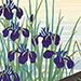 Katsushi Aiwa Gallery